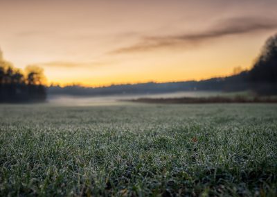 Sunset light falling across a dewy grass field, with shimmering droplets and soft shadows.